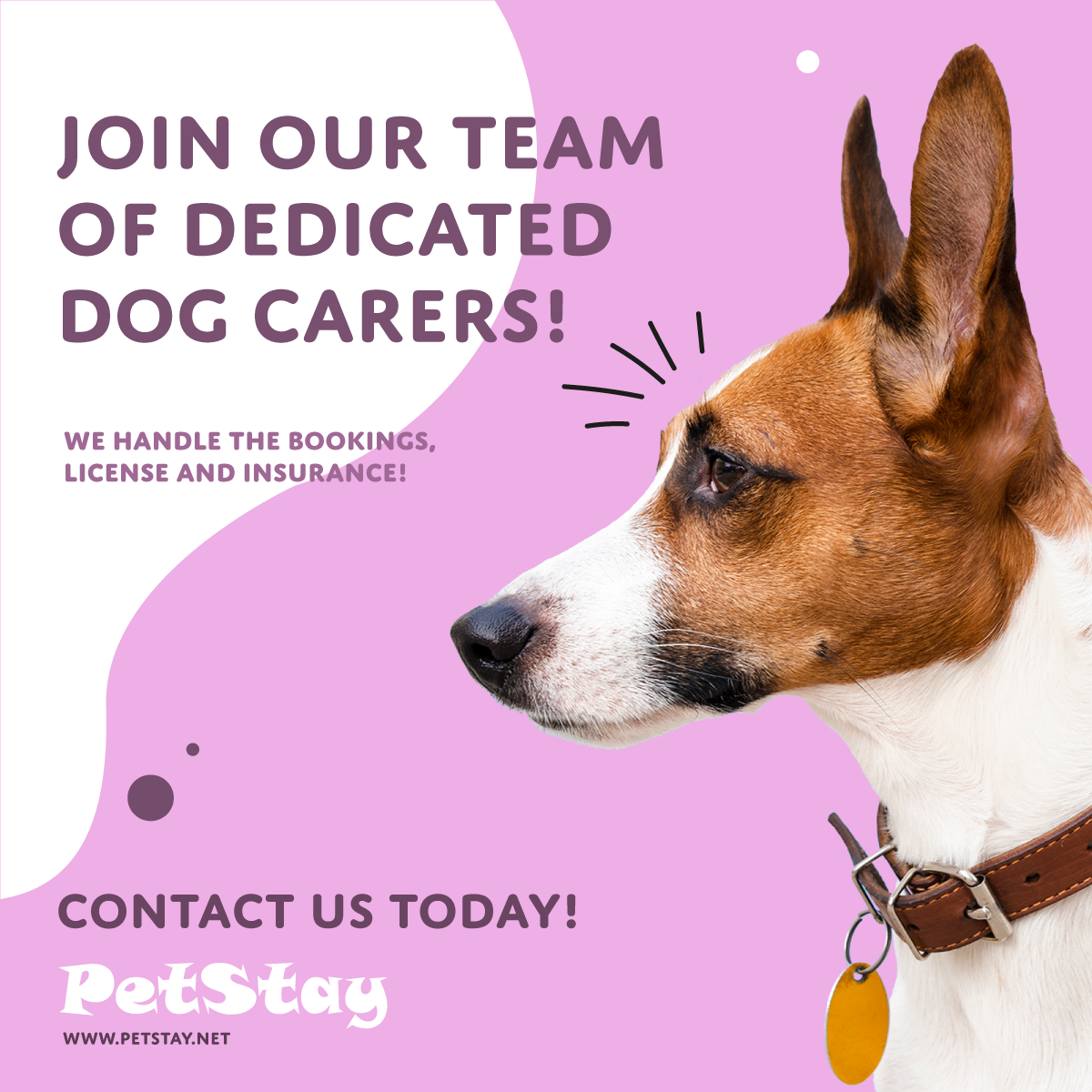 Become a PetStay dog carer and look after dogs in your own home.