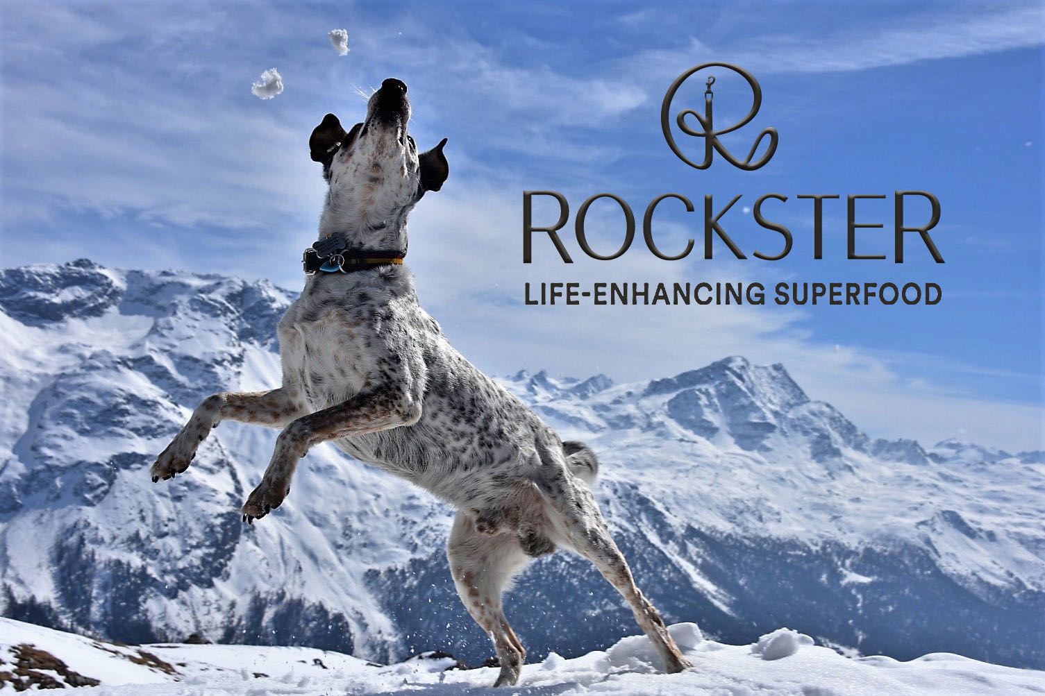 Rockster Jumping to catch snowballs with logo