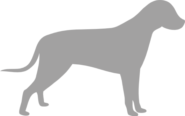 Grey dog silhouette