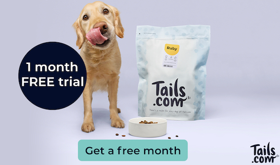 Get 1 month FREE tailored kibble + 75% off the rest of the range