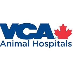 Vca westside hot sale animal hospital