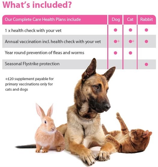 Vets4pets annual vaccination store price