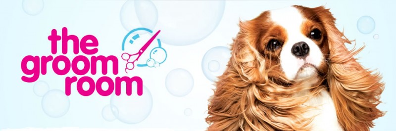 pets at home groom room dunstable