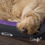 Scruffs® Luxury Pet Bedding &amp; Accessories