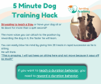 SpiritDog Training | 5 min training hack