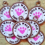 PAWESOME PET TAGS - Pet tags with self-healing superpowers!