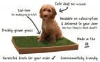Piddle Patch | Soil-Free, Real Grass Toilet For Dogs