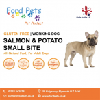 Ford Pets | Plymouth