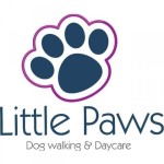 Little Paws - Dog Walking and Day Care - Lightwater, Surrey