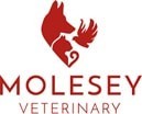 Molesey Veterinary Centre - East Molesey Surrey