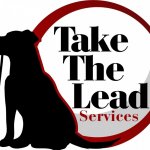 Take The Lead -  Pet Care Services - Surrey