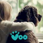 Voo Vets | Worcester Park, Surrey