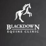 Blackdown Equine Clinic - Haslemere, Surrey