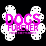 Dogs Furever - Reigate, Surrey