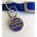 Pawesome Pet ID Tags