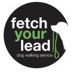 Fetch Your Lead Dog Walking Service | Tameside