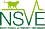 North Surrey Veterinary Emergencies (NSVE) - East Molesey, Surrey