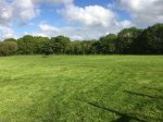 Barnfield Play Paddock For Hire- Ashwater, Devon