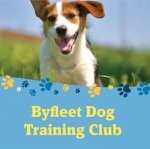 Walkabout Dog Training - Surrey