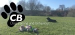 CB Dog Training and Behaviour