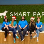 Smart Parke - Dog Boarding Orange County