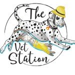 The Vet Station | Molesey, Surrey