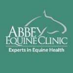 Abbey Equine Clinic | Abergavenny, Gwent