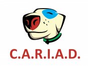 C.A.R.I.A.D. - Care And Respect Includes All Dogs - The Campaign To End Puppy Farming