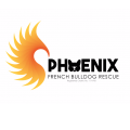 Phoenix French Bulldog Rescue